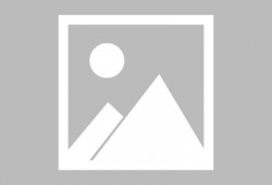 娱乐吃瓜酱猫咪视频