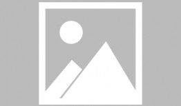 娱乐吃瓜酱猫咪视频