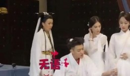 娱乐圈吃瓜爆料杨紫视频,娱乐圈幕后真相大揭秘