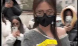 吃瓜娱乐拳击,吃瓜群众眼中的娱乐拳击盛宴